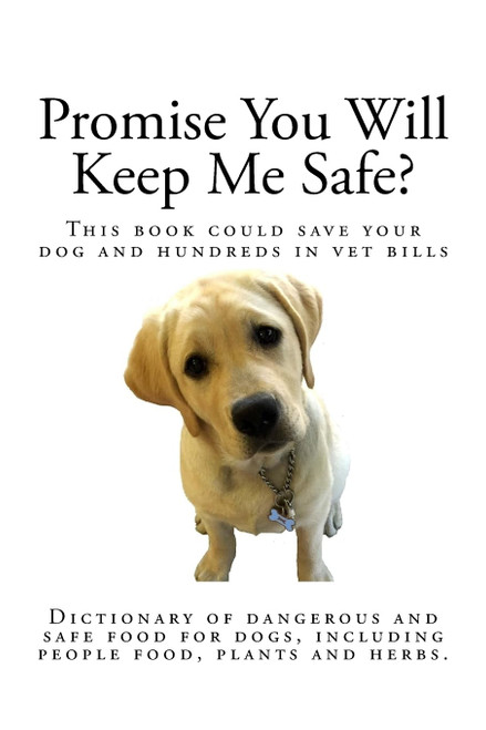 Promise You Will Keep Me Safe?: Dictionary of dangerous and safe food for