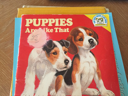 Puppies Are Like that!