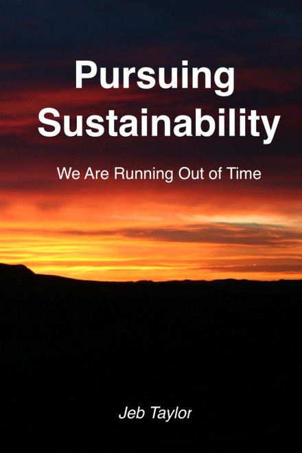 Pursuing Sustainability: We Are Running Out of Time