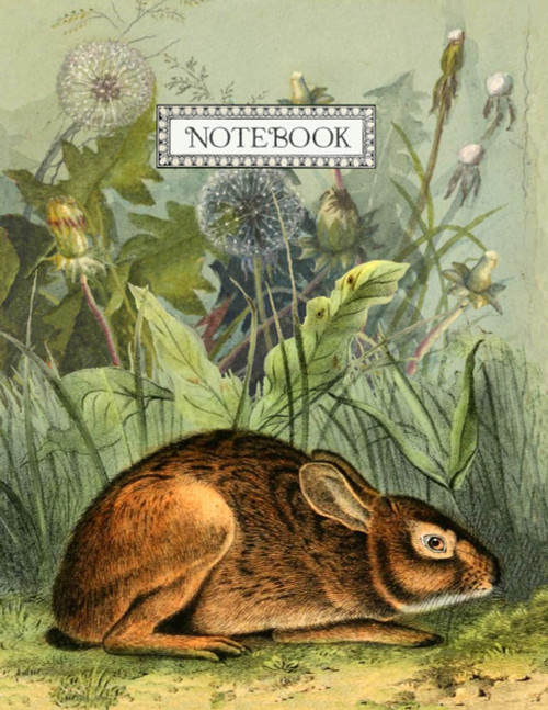 Rabbit Notebook | Dual Notebook Blank and Lined | Large 8.5 x 11" |