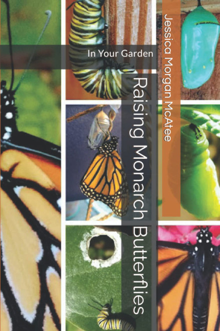 Raising Monarch Butterflies: In Your Garden