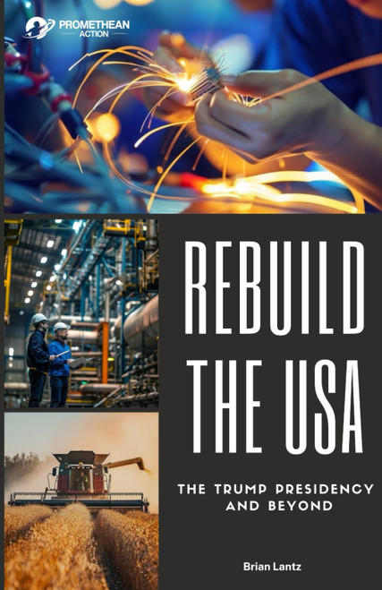 Rebuild the USA: The Trump Presidency and Beyond (Promethean Growth)
