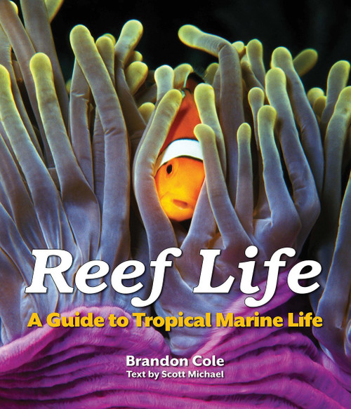 Reef Life: A Guide to Tropical Marine Life