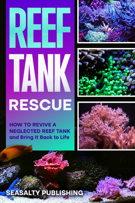 Reef Tank Rescue: How to Revive a Neglected Reef Tank and Bring It Back