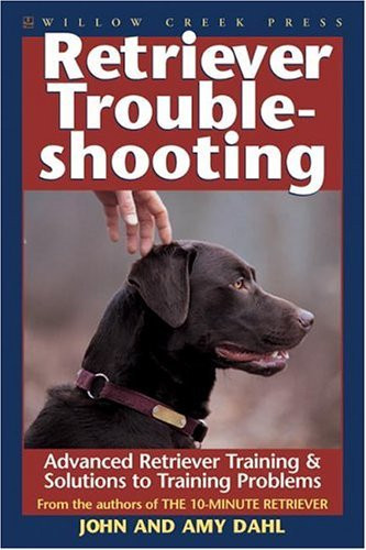 Retriever Troubleshooting: Strategies & Solutions to Retriever Training