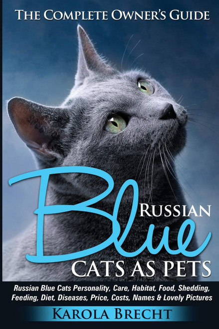 Russian Blue Cats as Pets: Personality
