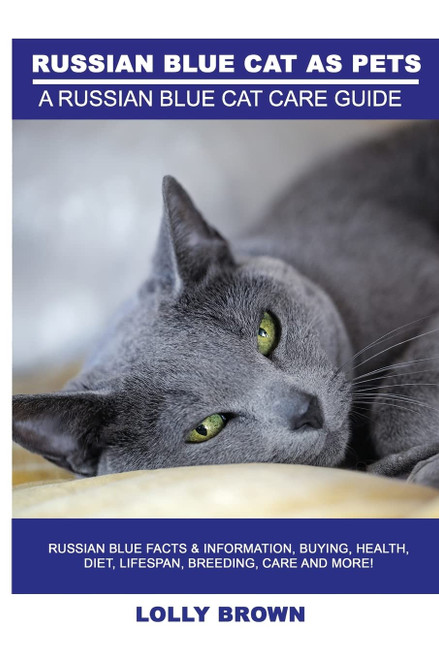 Russian Blue Cats as Pets: Russian Blue Facts & Information