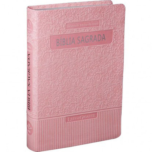 Santa Bíblia Letra Grande / Large Print (Portuguese Edition)