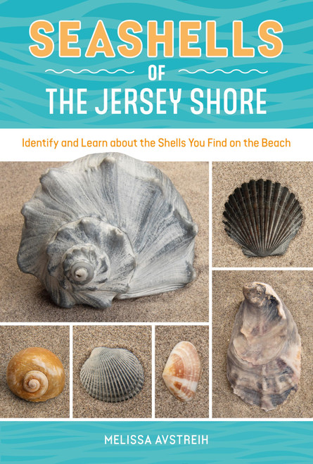 Seashells of the Jersey Shore: Identify and Learn about the Shells You