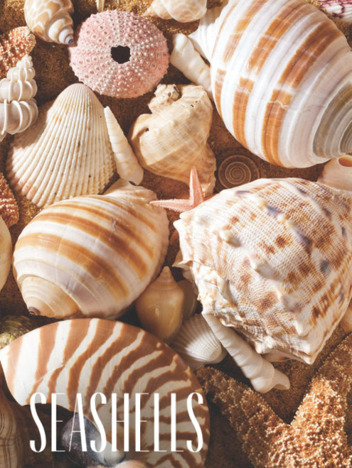 Seashells: Decorative stacking book for Coffee Tables & Bookshelves
