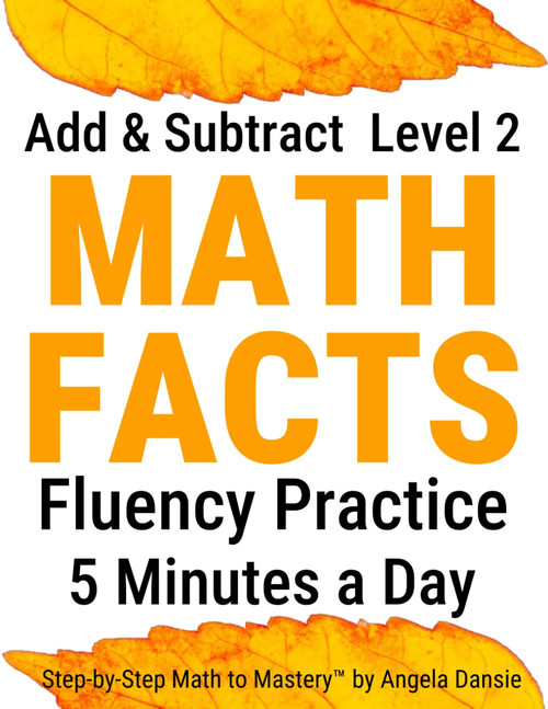 Second Grade Daily Math Fact Fluency Practice Workbook