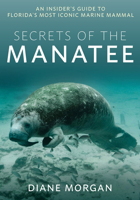 Secrets of the Manatee: An Insider's Guide to Florida's Most Iconic