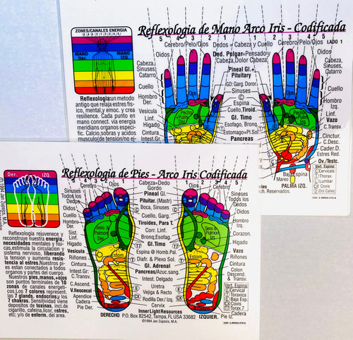 Set: 2 CHARTS: REFLEXOLOGIA de PIES & MANOS-Arco Iris® Codificada