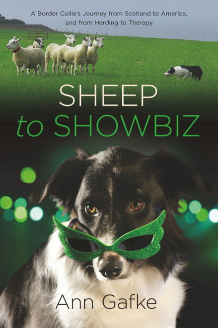 Sheep to Showbiz: A Border Collie's Journey from Scotland to America