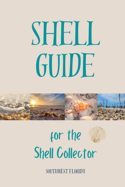 Shell Guide: Southwest Florida