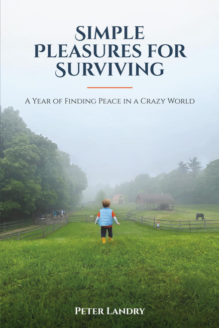 Simple Pleasures for Surviving: A Year of Finding Peace in a Crazy World