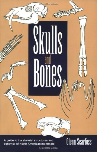 Skulls & Bones