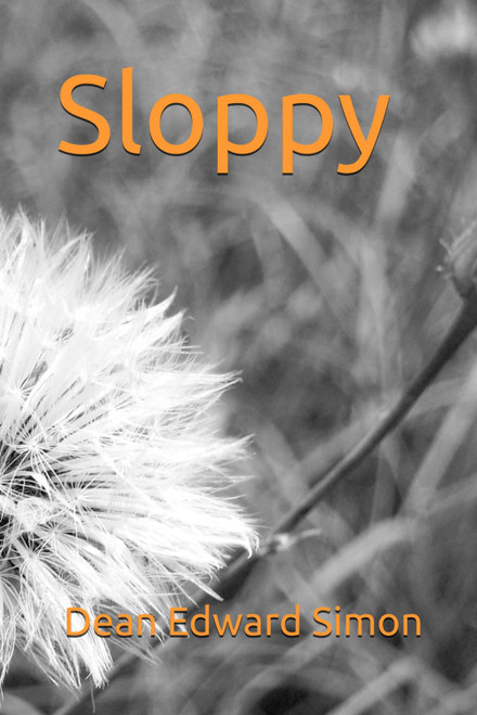 Sloppy