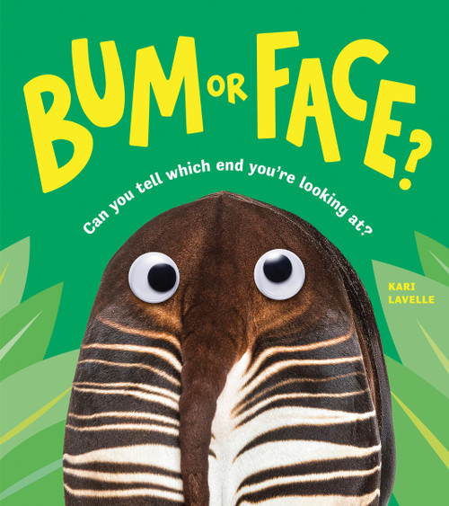 Sourcebooks Explore Bum or Face.