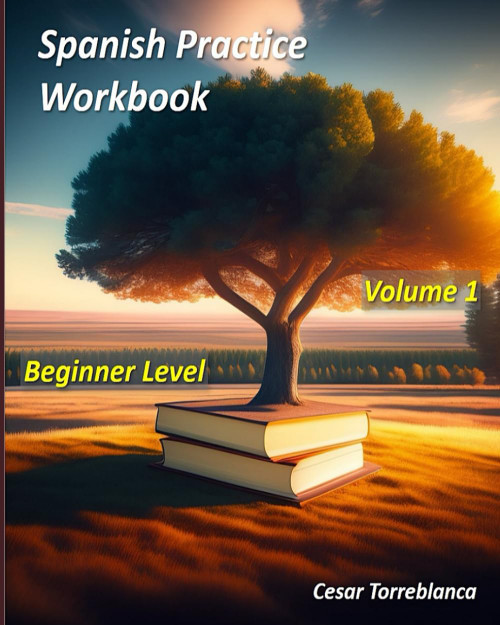Spanish Practice Workbook: Volume 1 - Beginners Level