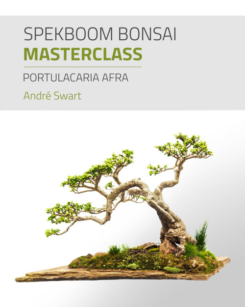 Spekboom Bonsai Masterclass: Portulacaria Afra
