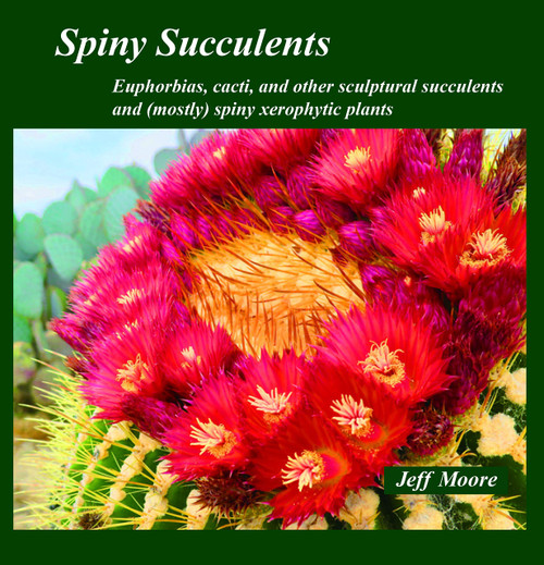 Spiny Succulents: Euphorbias, Cacti, and Other Sculptural Succulents and