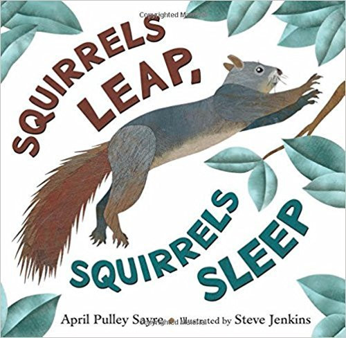 Squirrels Leap, Squirrels Sleep