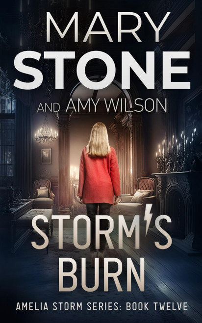 Storm's Burn (Amelia Storm FBI Mystery Series)