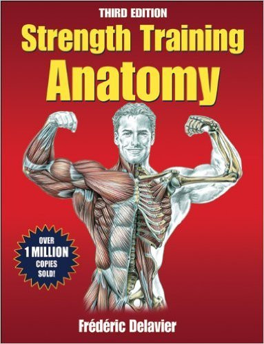 Strength Training Anatomy