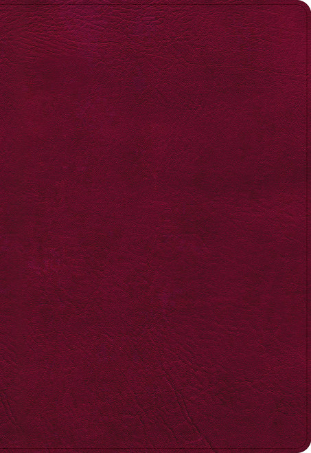 Super Bible – Super Giant Print, LeatherTouch, Burgundy (NASB)