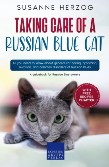 Taking care of a Russian Blue Cat