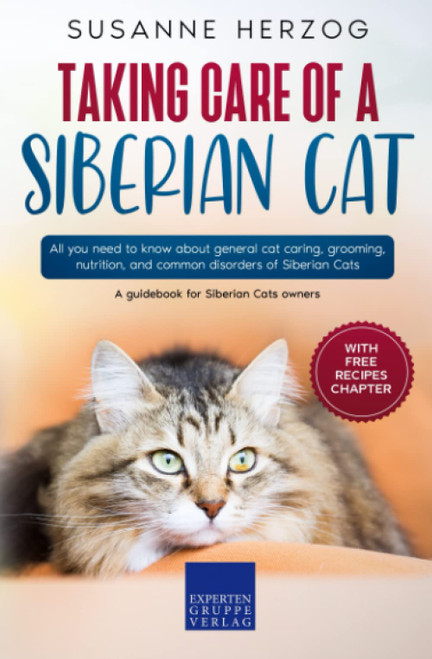 Taking care of a Siberian Cat: All you need to know about general cat