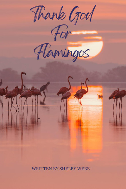 Thank God For Flamingos