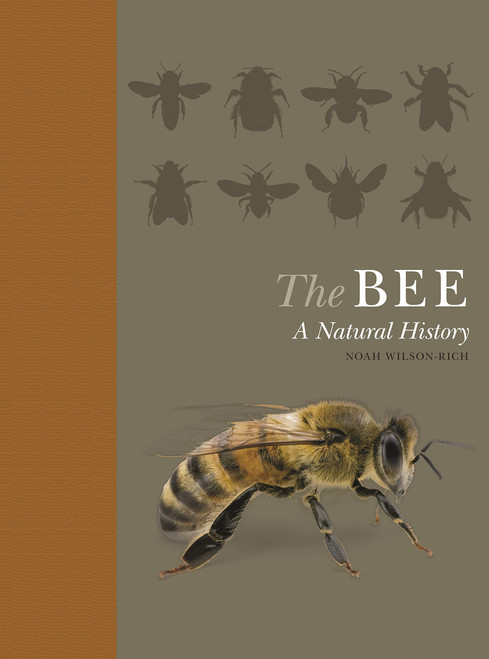 The Bee: A Natural History