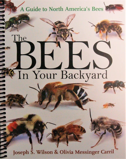 The Bees in Your Backyard: A Guide to North America's Bees Spiral-bound