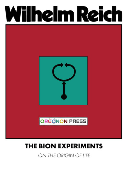 The Bion Experiments: On the Origin of Life