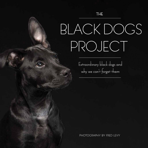 The Black Dogs Project: Extraordinary Black Dogs and Why We Can't Forget