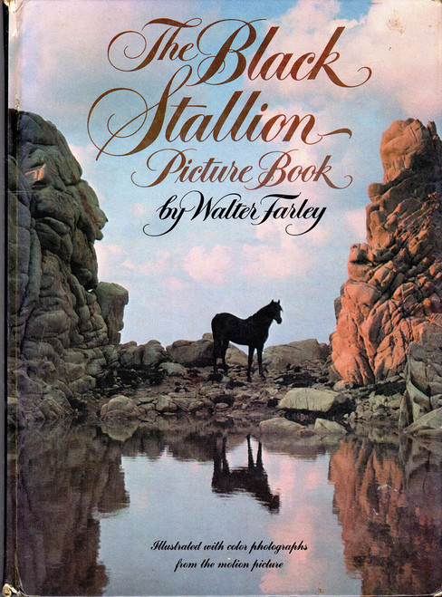 The Black Stallion Picture Book (Illustrated with Color Photographs From