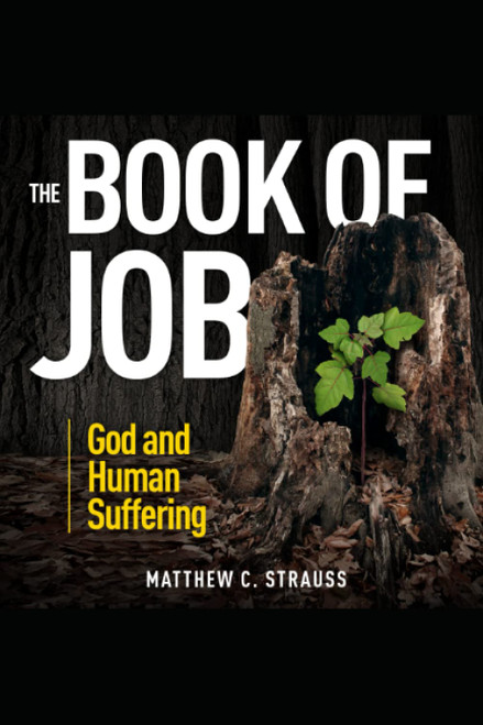 The Book of Job: God and Human Suffering