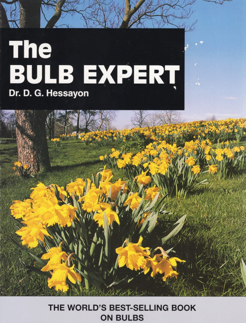 The Bulb Expert