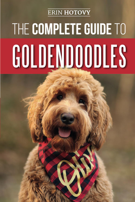 The Complete Guide to Goldendoodles: How to Find