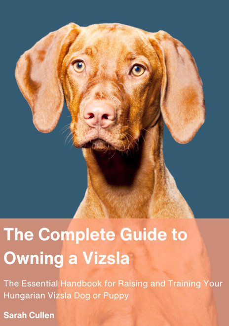 The Complete Guide to Owning a Vizsla