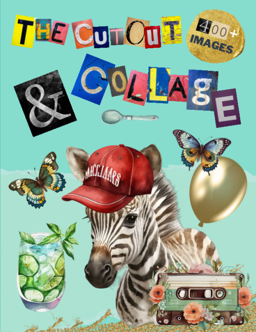 The Cut Out And Collage Activity Book Extraordinary Things