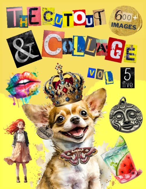 The Cut Out And Collage Activity Book Extraordinary Things Vol.5