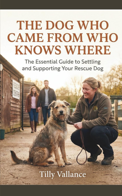 The Dog Who Came From Who Knows Where