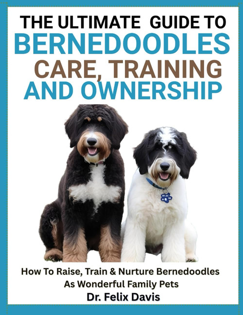 The Easy Guide to Bernedoodles Care, Training, and Ownership