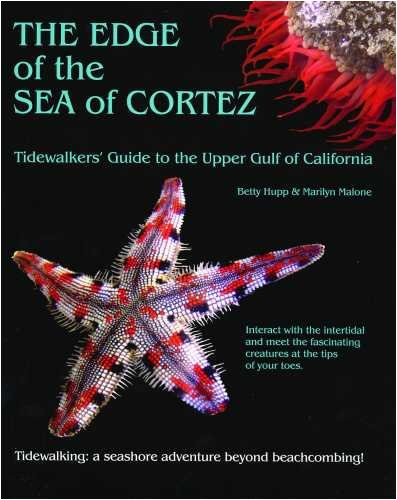 The Edge of the Sea of Cortez: Tidewalker's Guide to the Upper Gulf of