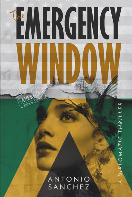 The Emergency Window: A Novel