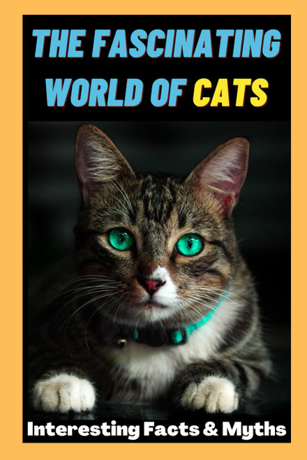 The Fascinating World of Cats: Interesting Facts and Myths about Cats | A