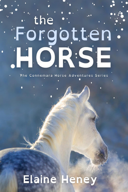 The Forgotten Horse - Dyslexia Friendly
